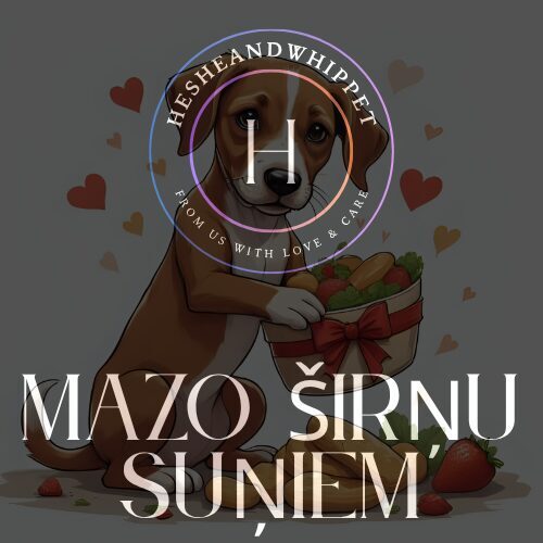 MAZO ŠĶIRŅU SUŅIEM