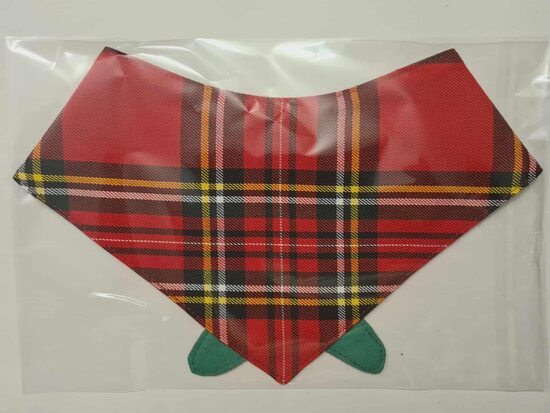 Stylish bandana for dogs