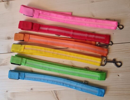 LED pavadas (ar bateriju)