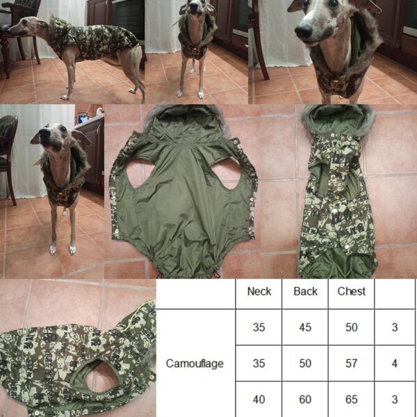 Camouflage coat with a hood