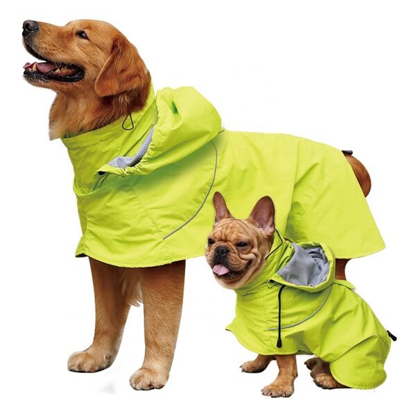 Raincoat with a hood